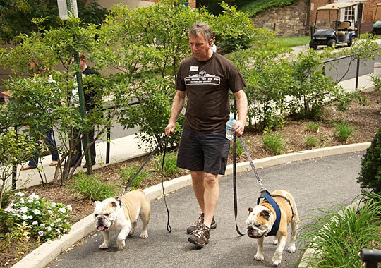 Rev. Christopher Steck, S.J., takes Jack the Bulldog and J.J. for a walk.