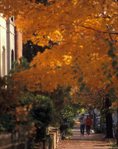 A man and woman walk along a Georgetown neighborhood street with leaves changing color on the trees